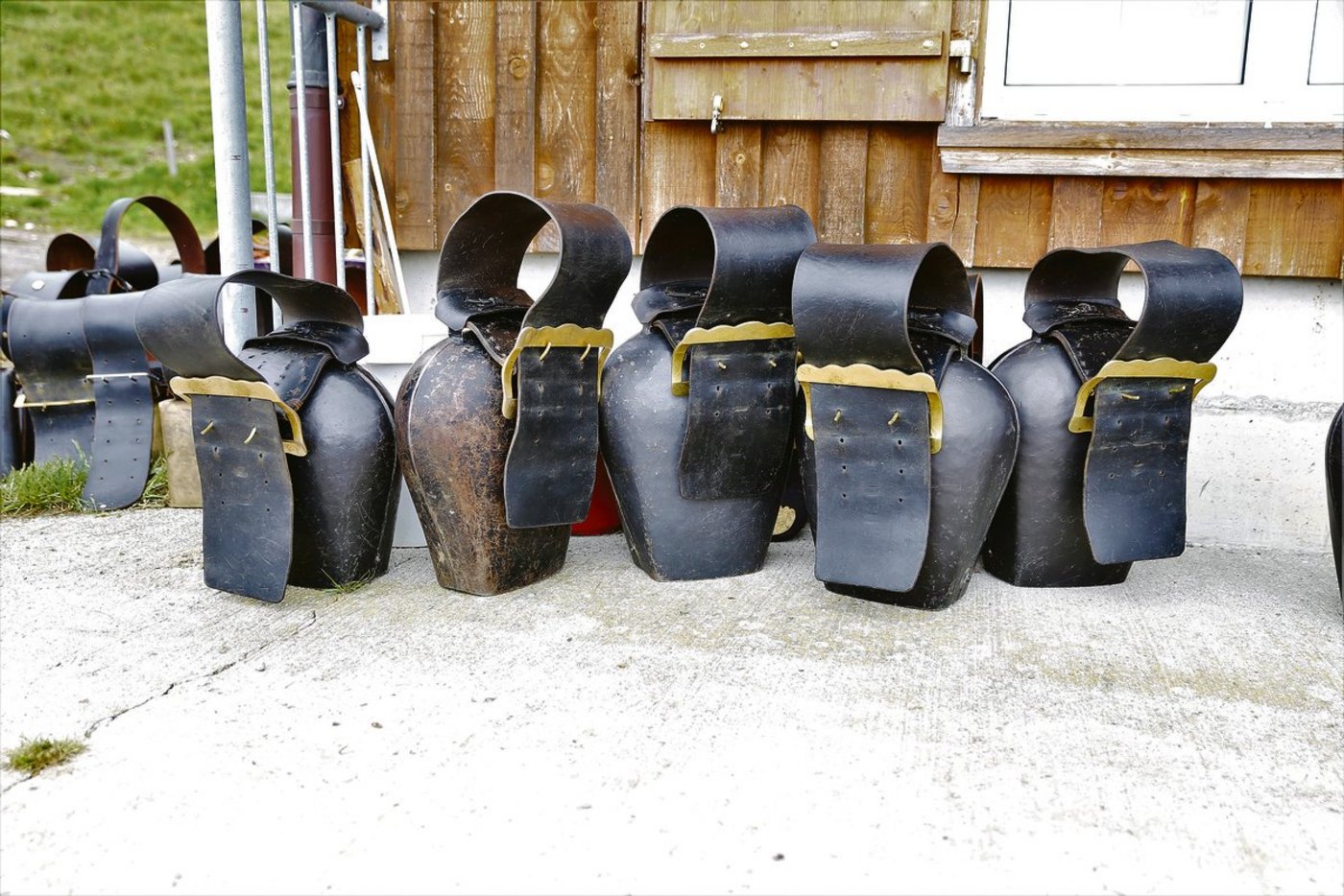 Rund zehn Tage früher also sonst wurden die meisten Zentralschweizer Alpen bestossen.(Bild reb)