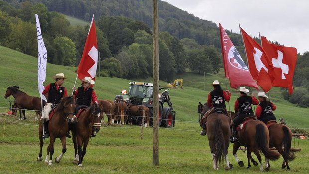 Der Freiberger ist die einzige noch existierende Schweizer Pferderasse. Ihre Urgenetik wurde am Samstag in Ramiswil gezeigt. (Bild Rolf Bleisch)