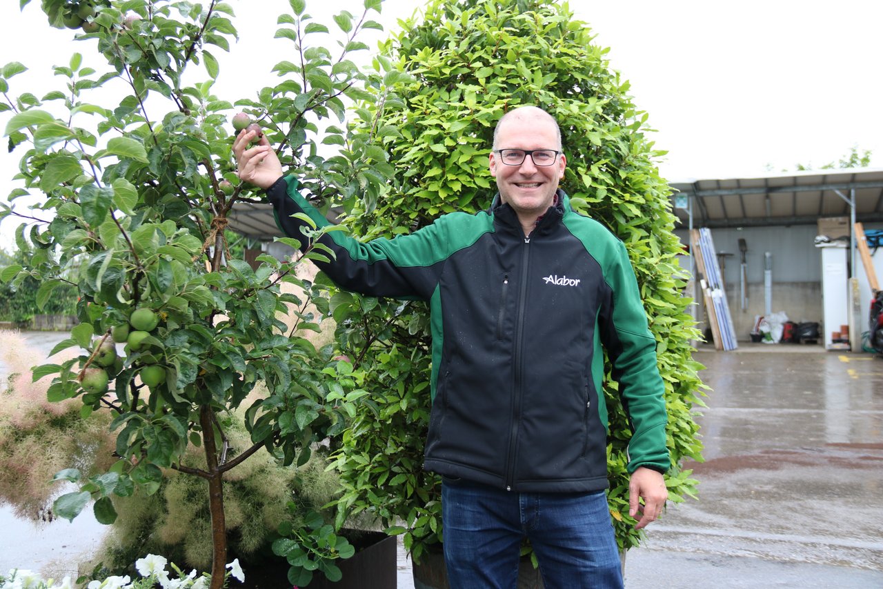 Luzius Gschwind, Vorstandsmitglied Gärtnerverband beider Basel, ist sicher, dass die Obstbäume den neuen Besitzerinnen viele Jahre Freude bereiten werden. (Bild BB)
