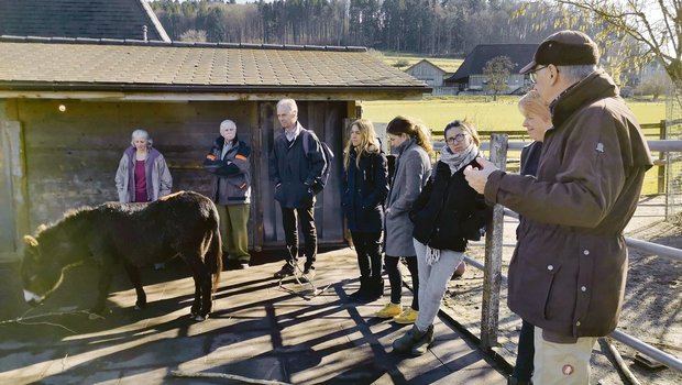 Wie wollen Esel leben? Im Februar luden Edith und Wolfgang Müller auf ihren Betrieb nach Grasswil ein, um diese Thematik mit verschiedenen Branchen-Exponenten zu besprechen. Nun haben sie die Gründung einer Stiftung bekanntgegeben. (Bild sb)