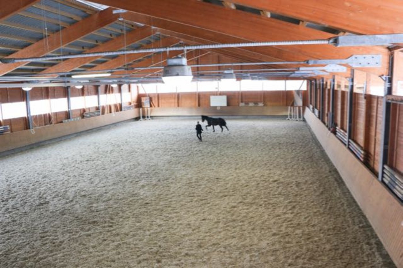 Um den Pferden auch bei schlechtem Wetter eine Trainingsmöglichkeit zu bieten, haben Mehlis in eine Reithalle investiert. 