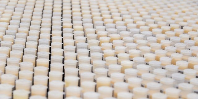 Der Bund beteiligt sich an den Laborkosten für die MIlchprüfung, aber die Beiträge dafür sind gesenkt worden. Das treibt die Restkosten für Produzenten und Verwerter in die Höhe. (Bild BauZ)