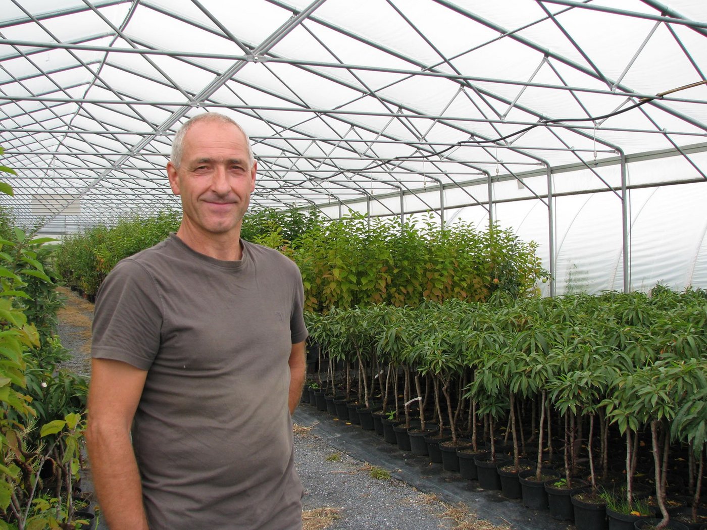 Pius Stäger zieht auf seinem Betrieb auch Gartenpflanzen. (Bild: dv)