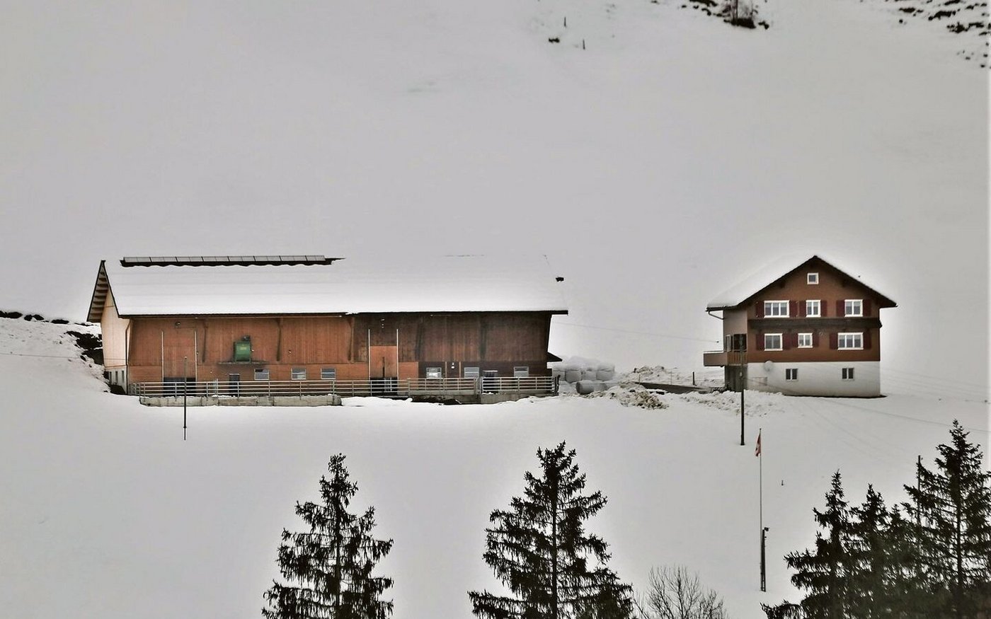 Die Gebäude des Betriebes Gschwend sind gut im Schuss. Der linke Stallteil wurde 2022 erstellt.