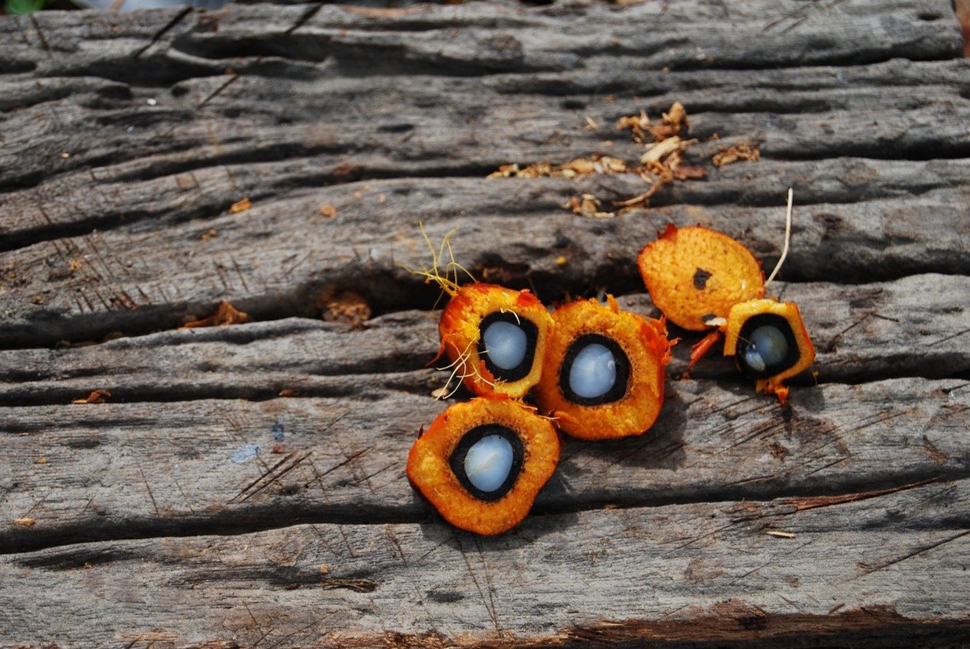 Laut Bundesrat wurde der Verordnungsentwurf und der zugrundeliegende Mechanismus in der Vernehmlassung von niemandem grundsätzlich abgelehnt. (Bild Pixabay)