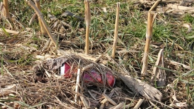  Bild 1 Getränkedose auf abgeernteem Maisfeld: Littering ist für die Landwirtschaft ein Problem. (Bild SBV) 