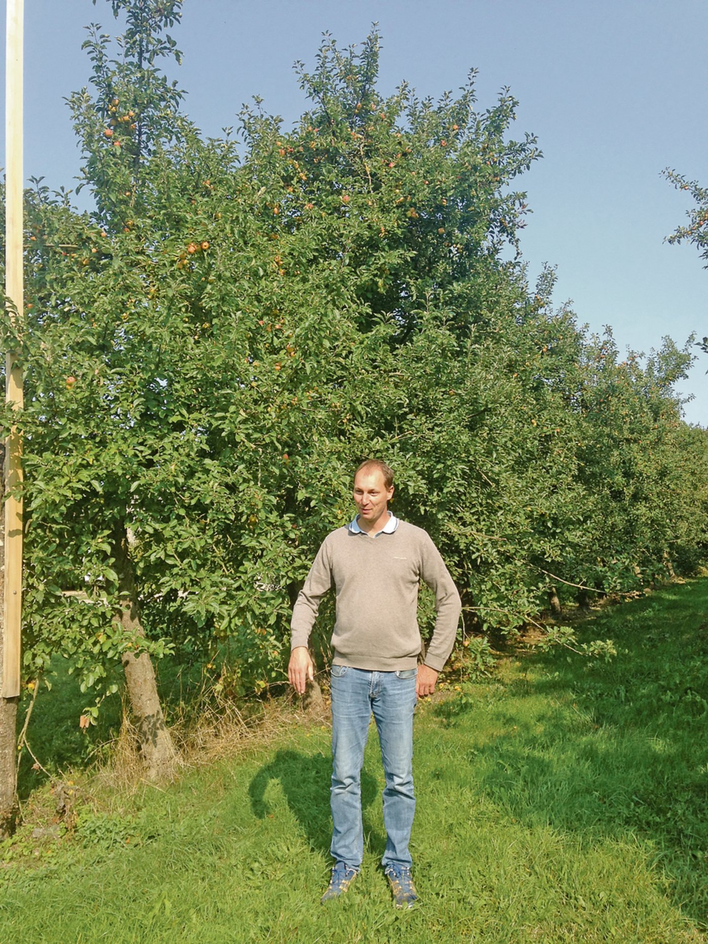 Nicolas Deschamps aus Berthouville (F) vor seiner Niederstamm-Bio-Versuchsanlage.. (Bild Noëmi Elmiger)