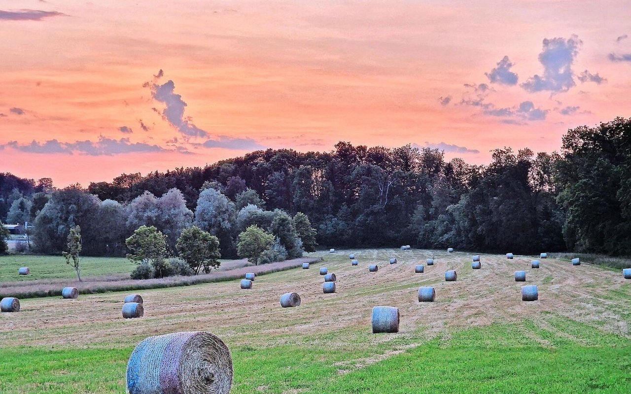 In der Landwirtschaft sind die Tage lang und die Arbeit körperlich fordernd. Welche (finanziellen) Vorteile in der Einkommens-Berechnung berücksichtigt aber werden sollten, ist umstritten.