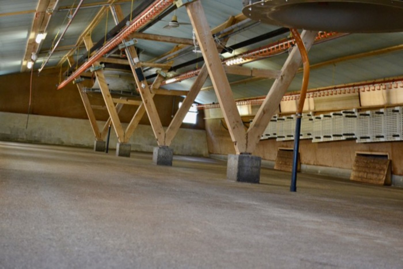 Innensicht einer sauberen alten Poulethalle. Viele Oberflächen bestehen aus Holz und Beton. (Bild jba)
