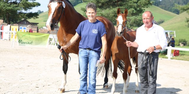 Rosmarie Gerber hat nach einem Sieg im letzten Jahr heuer nachgedoppelt. An der Fohlenschau war ihr der bekannte Züchter Roland Kathriner behilflich. (Bild Karin Rohrer)