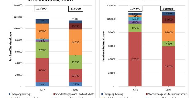 Zwei ÖLN-Talbetriebe im Vergleich: Der Milchbetrieb hat im Bereich Produktionssystembeiträge weniger Potenzial, als der Ackerbaubetrieb. (Grafik BLW)