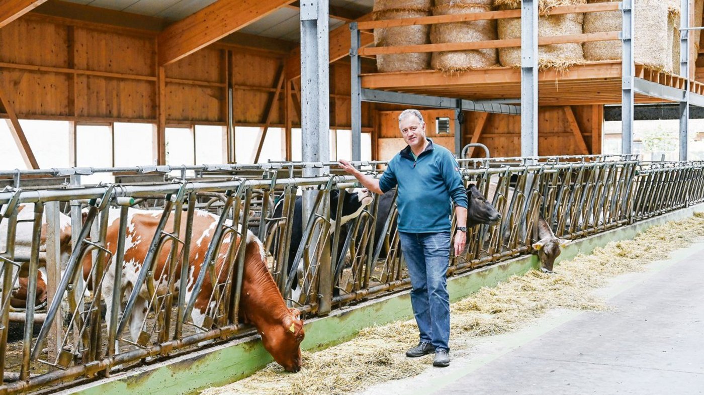 Martin Wüthrich im neuen Stall. Die gute Beobachtung ist ihm wichtig. Täglich treibt er die Kälber auf die Weide. Er erkennt so das Brunstverhalten am einfachsten. Zudem würden die Tiere dadurch auch viel zutraulicher, weiss er.  (Bild Andrea Wyss)