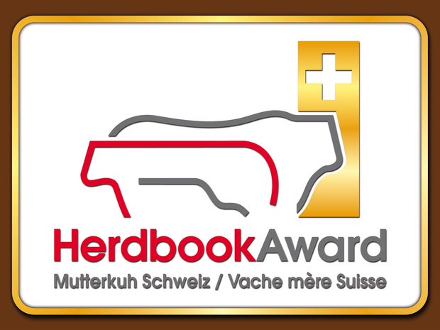 Die beste Kuh und der beste Stier jeder Rasse werden mit dem Herdbook-Award Gold ausgezeichnet, alle anderen erhalten den Silber-Award. (Bild Mutterkuh Schweiz)