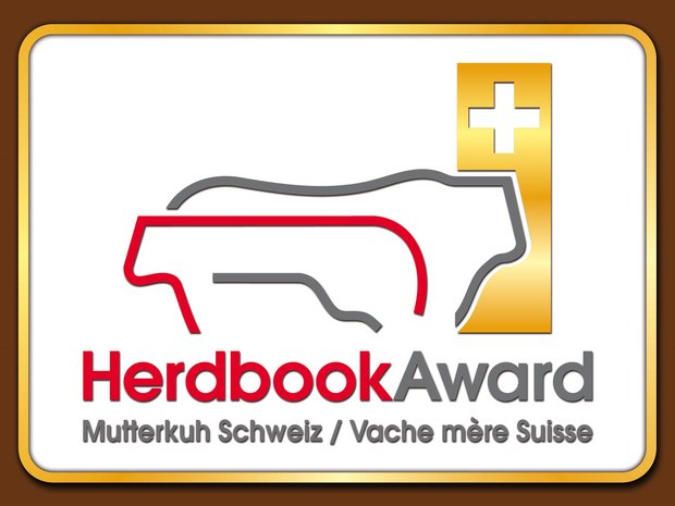 Mutterkuh Schweiz verleiht den 9. Herdbook-Award Die beste Kuh und der beste Stier jeder Rasse werden mit dem Herdbook-Award Gold ausgezeichnet, alle anderen erhalten den Silber-Award. (Bild Mutterkuh Schweiz)