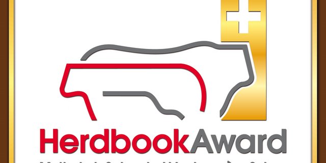 Die beste Kuh und der beste Stier jeder Rasse werden mit dem Herdbook-Award Gold ausgezeichnet, alle anderen erhalten den Silber-Award. (Bild Mutterkuh Schweiz)