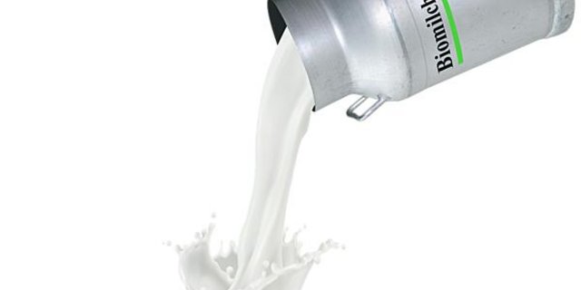 Die Partnerschaft mit Mooh ist für die Ostschweizer eine gute Lösung. Doch was bedeutet diese für die Berner Milchbauern? (Symbolbild BauZ)