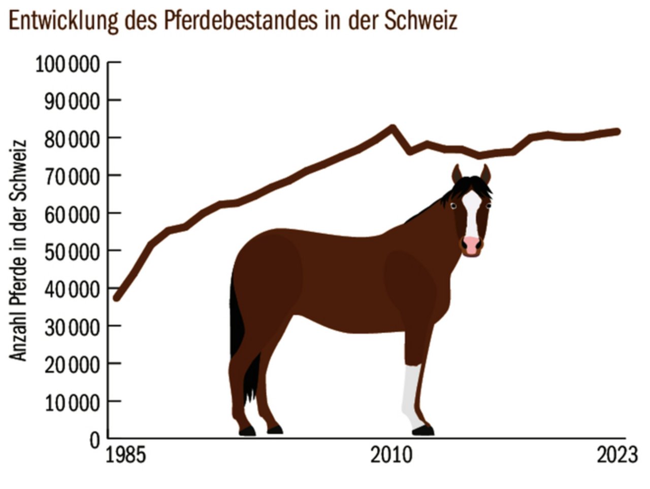 Die Anzahl Pferde in der Schweiz hat sich in den letzten 40 Jahren auf heute über 80 000 Stück mehr als verdoppelt.