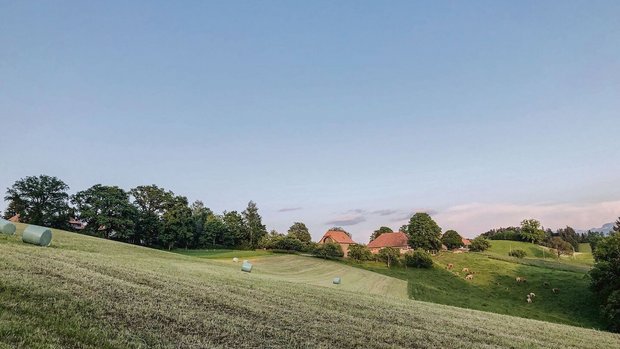Weil die Erntebeding Weil die Erntebedingungen nicht immer so wolkenlos waren wie hier im Bild, ist mit tiefen TS-Gehalten (20 bis 25 % TS) zu rechnen. Das führt zu einem anderen Gärsäuremuster.