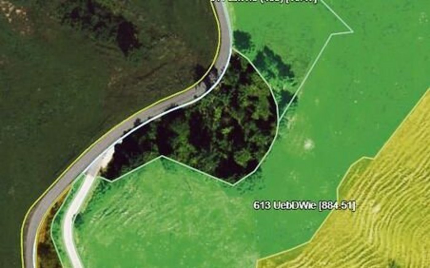 Die Böschung an der Strasse und nun bestockte Fläche bei Ruedi Gerber in Wiggen. 