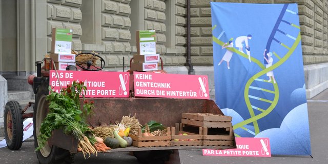 Mit der Petition soll nicht nur politisch Druck gemacht, sondern auch bei der Bevölkerung für Sensibilisierung gesorgt werden. (Bilder Debora Moos)