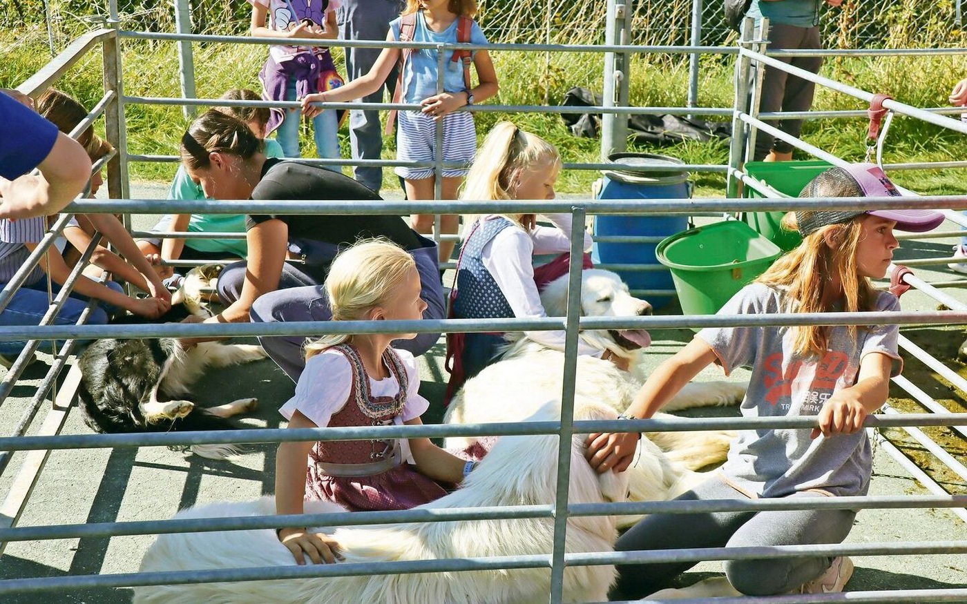 Eine Attraktion waren die Herdenschutzhunde. Sie genossen die Streicheleinheiten der kleinen und grossen Besucher.