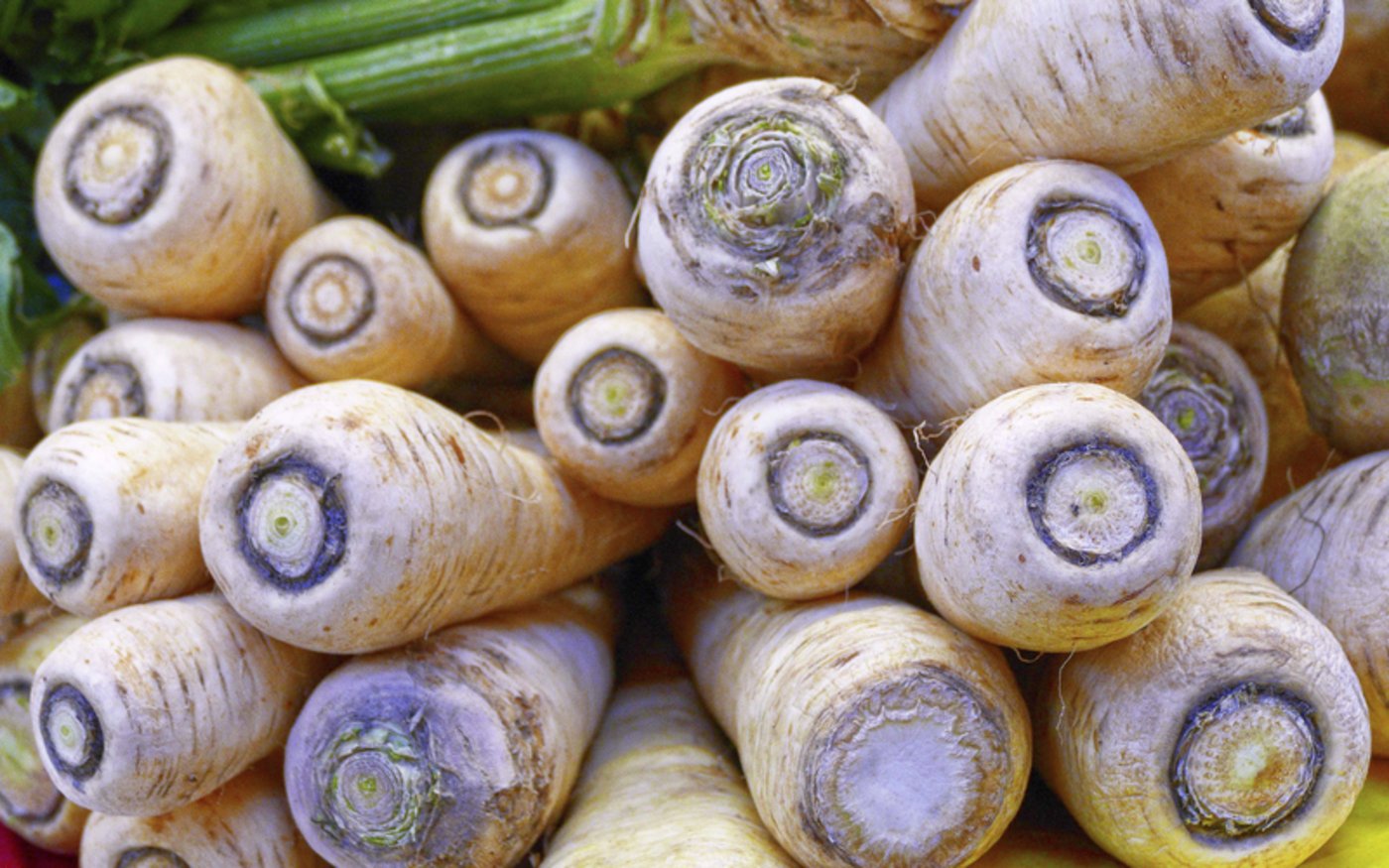 Die Pastinake ist ein vielseitiges Gemüse. 