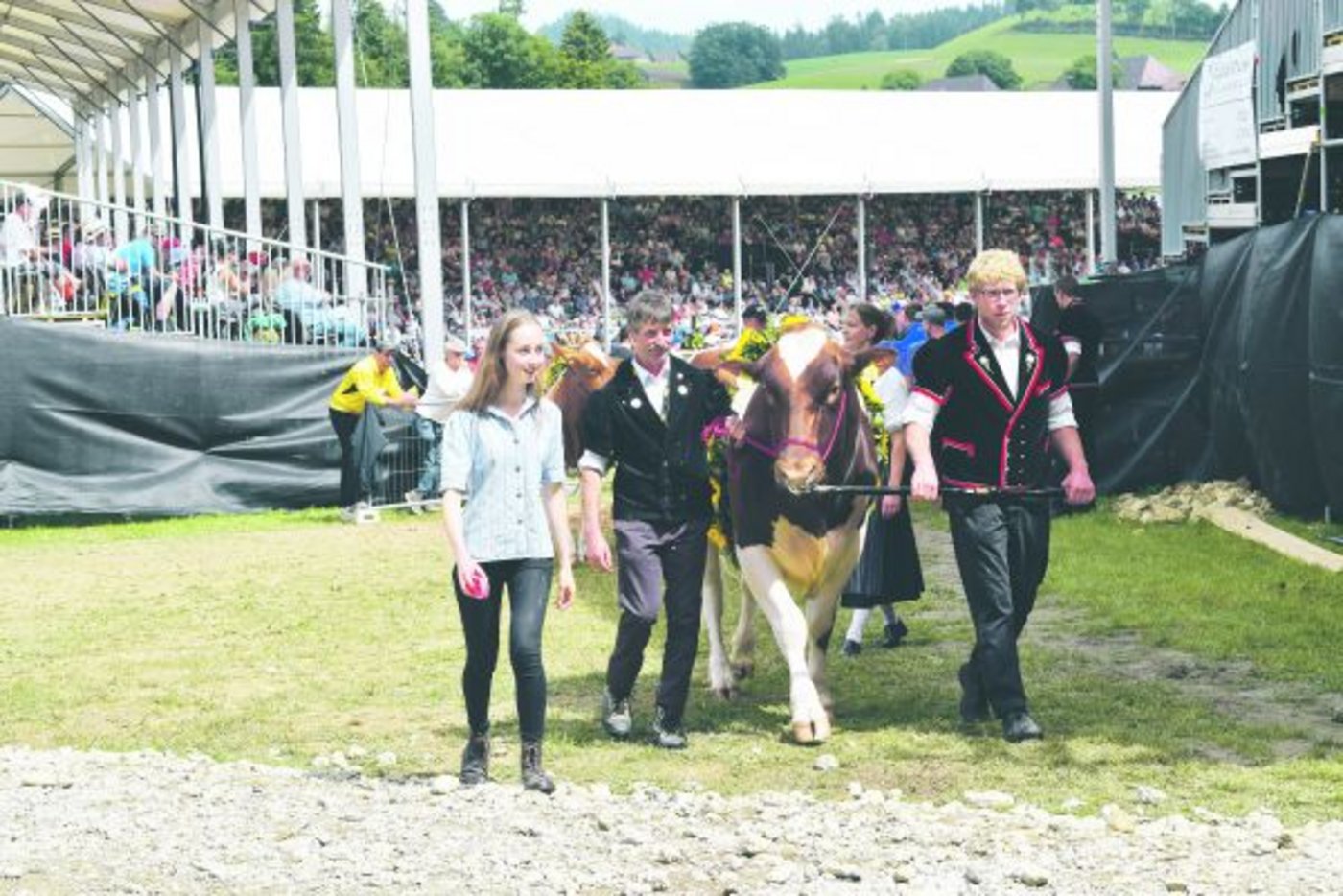 Beat Käser (Mitte) und Beat Hagios führen Roi in den Ring. Seine Augen sind bei Melanie. (Bild Daniela Joder)
