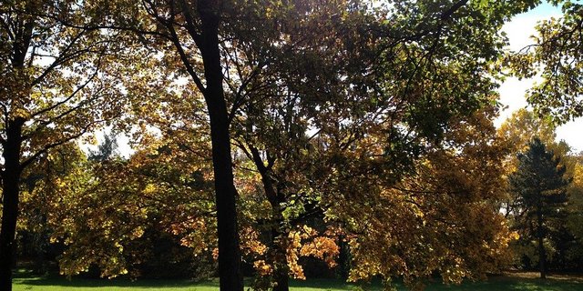 Zum Herbstbeginn wird es noch einmal schön warm - Altweibersommer sei Dank. (Bild Pixabay)