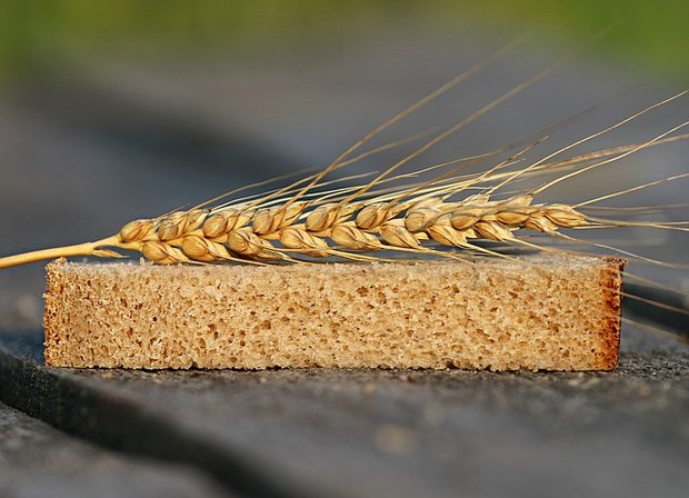 Während der Hitzewelle 2018 in Deutschland kam es zu 15 Prozent Einbussen bei der Weizenernte. Solche Vorkommnisse werden in Zukunft wahrscheinlich häufiger. (Bild Pixabay)
