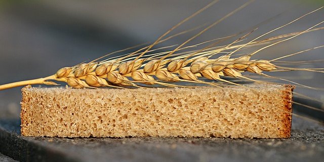 Während der Hitzewelle 2018 in Deutschland kam es zu 15 Prozent Einbussen bei der Weizenernte. Solche Vorkommnisse werden in Zukunft wahrscheinlich häufiger. (Bild Pixabay)