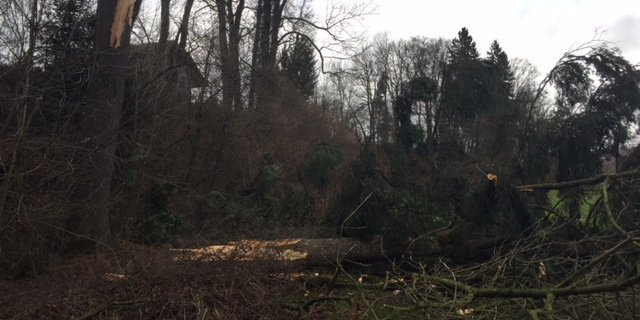 Schäden in einem Bauerngarten in Suberg BE. (Bild Twitter/Ruedi Baumann)