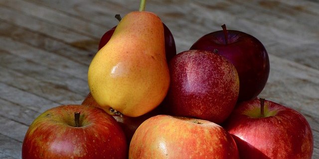 Die Ernten beim Kernobst sollen gut ausfallen. (Symbolbild Pixabay)