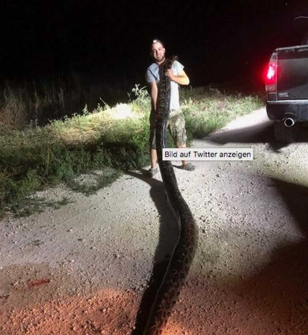 Der Schlangenjäger mit der Rekord-Python. (Bild South Florida Water Management District/Twitter) 