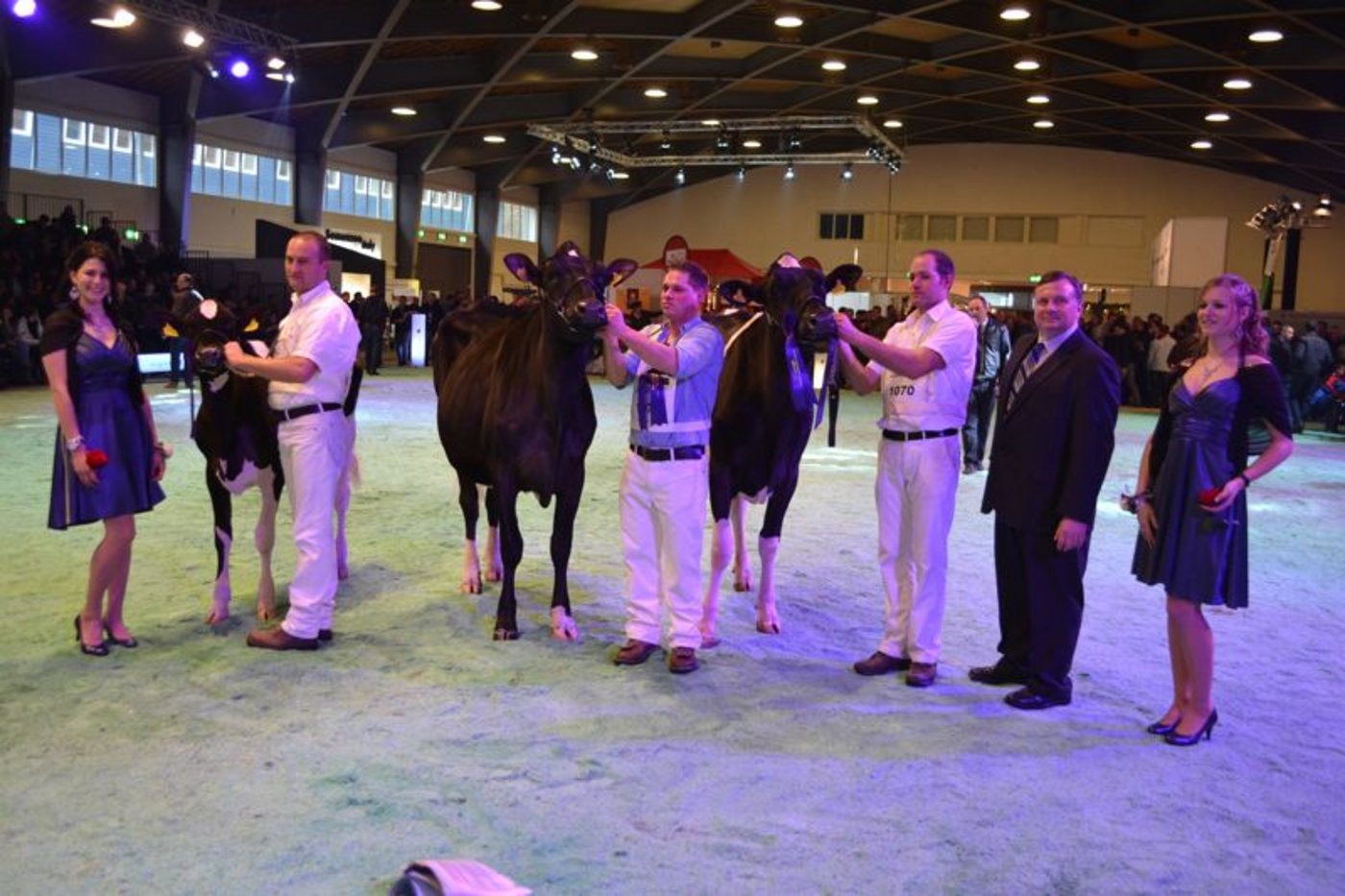 Junior Champion (Mitte): Ruegruet Lauthority Aurel, Patrick und André Rüttimann, Hohenrain / Reserve Junior Champion (links): Doug Glauco Markanne, Eric Dougoud und Nathalie Rey, Châbles / Mention Honorable (rechts): Everdes Windbrook Karmina, Everdes Holstein, Echarlens