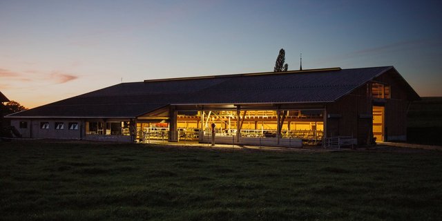 Die Beleuchtung im Stall macht die Nacht zum Tag. Bild: Pia Neuenschwander