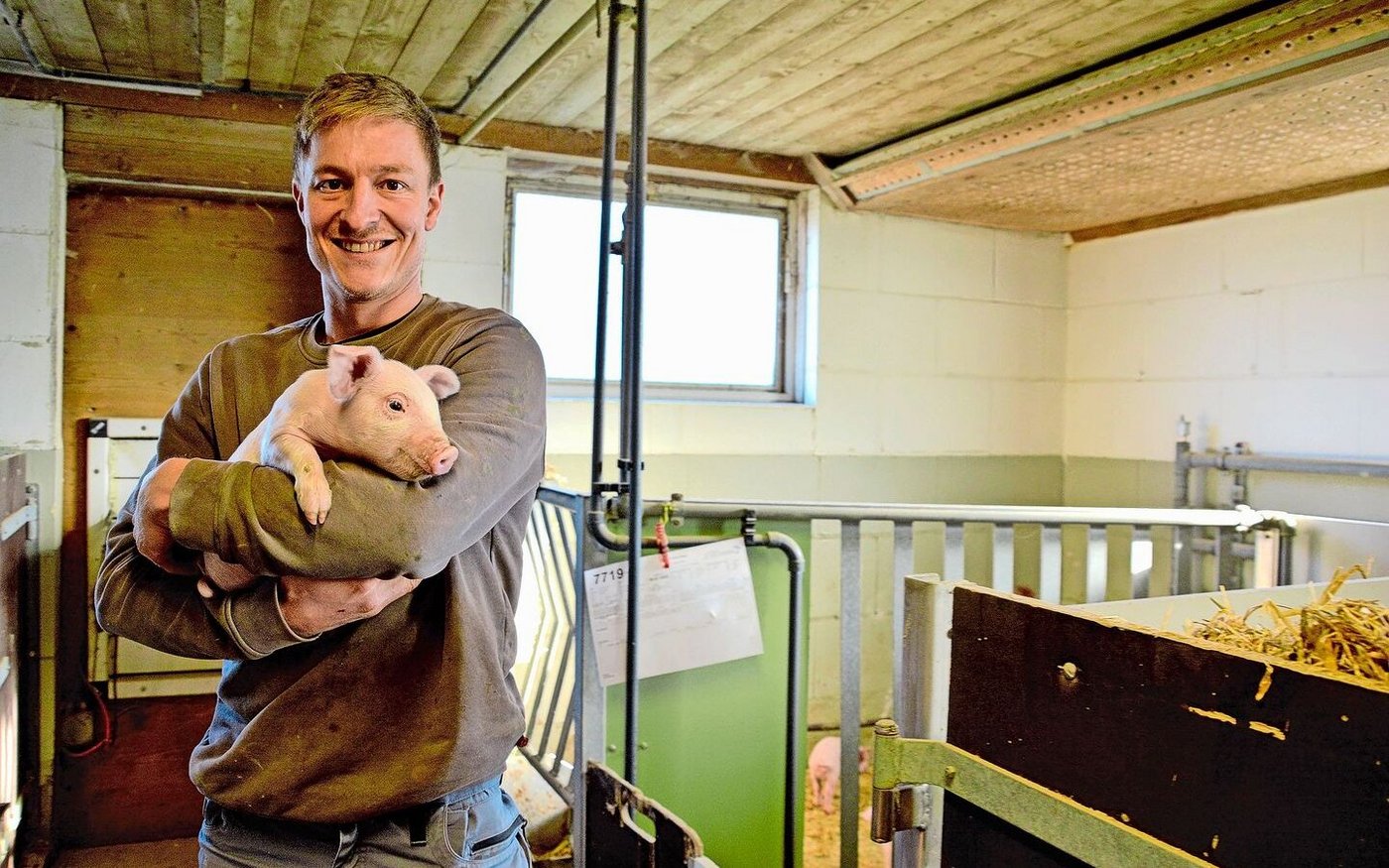 Auf Schweine spezialisiert: Michael Hunkeler in einem der Abferkelzimmer auf seinem Betrieb im luzernischen Altishofen.