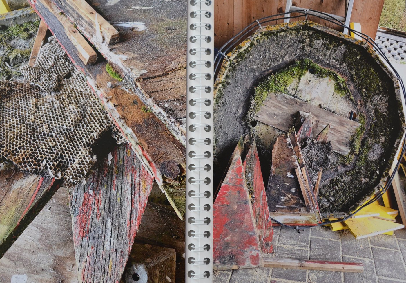 Dabei wurde im Innerern unter anderem grosse Wildbienen- oder Wespennester gefunden.