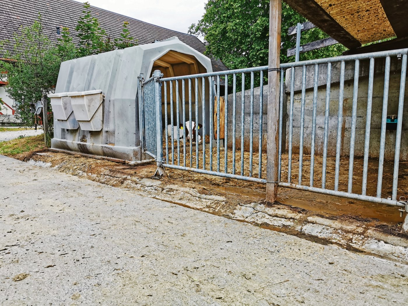 Was hier rausläuft, muss in eine Güllegrube. Ist das nicht der Fall, muss das Iglu weg oder aber es wird ein Zugang zu einer Jauchegrube geschaffen. 