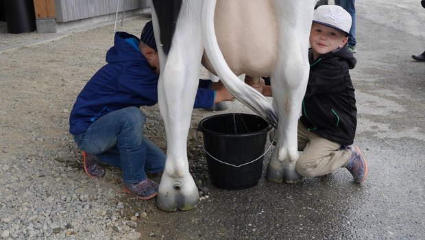 Die Kuh ist viel entspannter, wenn seitlich der Kuh gemolken wird. (Bild LZ Liebegg)