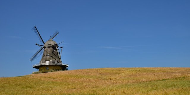 Dänemarks hat fast 22 Prozent mehr Ökoagrarprodukte importiert.(Bild pixabay)