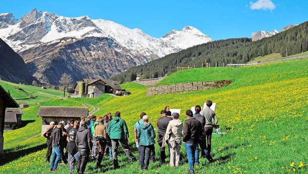 «Im Futterbau hat es noch Potenzial», sagte die Pflanzenbau-Beraterin Rut Janett vom Plantahof. Ziel ist es, das Beste aus dem Grundfutter für die Milchproduktion herauszuholen.