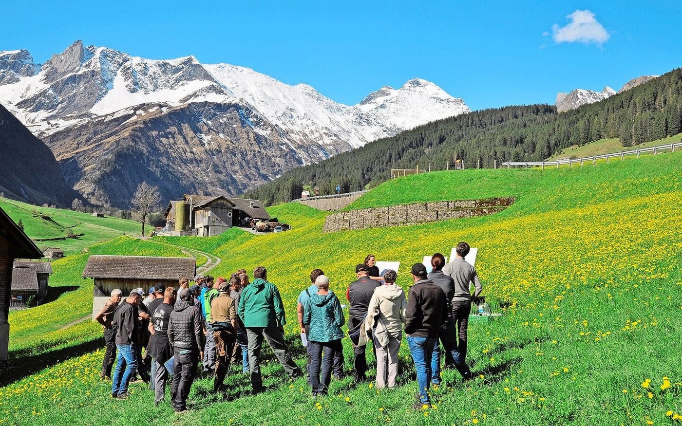 «Im Futterbau hat es noch Potenzial», sagte die Pflanzenbau-Beraterin Rut Janett vom Plantahof. Ziel ist es, das Beste aus dem Grundfutter für die Milchproduktion herauszuholen.