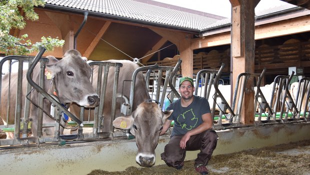 Matthias Frei pflegt mit seinen Kühen einen ruhigen Umgang. Die Familie Frei hatte schon immer Braunvieh. (Bilder Bettina Mäder)
