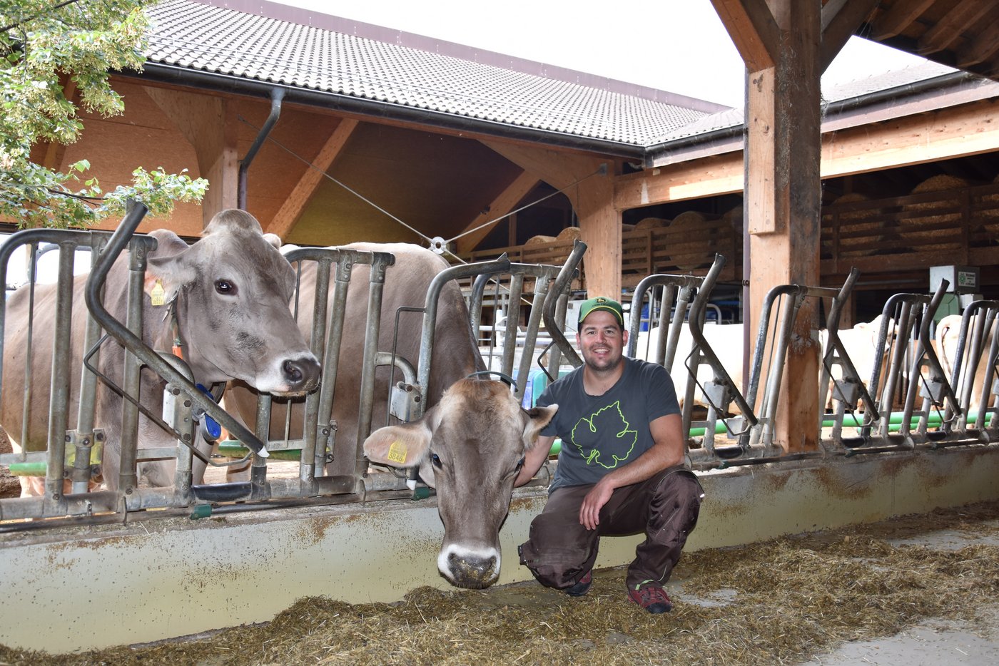 Matthias Frei pflegt mit seinen Kühen einen ruhigen Umgang. Die Familie Frei hatte schon immer Braunvieh. (Bilder Bettina Mäder)