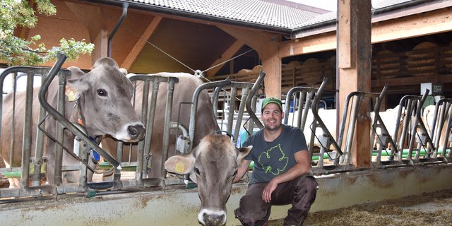Matthias Frei pflegt mit seinen Kühen einen ruhigen Umgang. Die Familie Frei hatte schon immer Braunvieh. (Bilder Bettina Mäder)