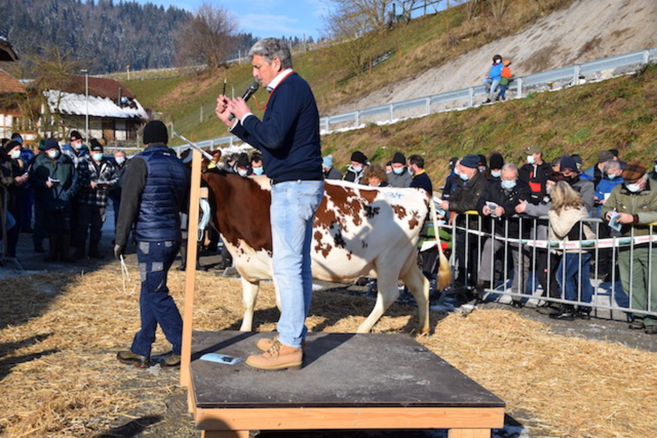 Die schöne BIO-Kuh Luki Mila von Bernhard Wüthrich, Trub BE, war dem neuen Besitzer 3600 Franken wert. 