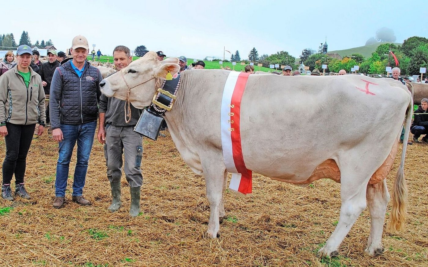 Die neue Miss Einsiedeln heisst Phil Paris und kommt aus dem Stall von Roland Kälin aus Euthal.