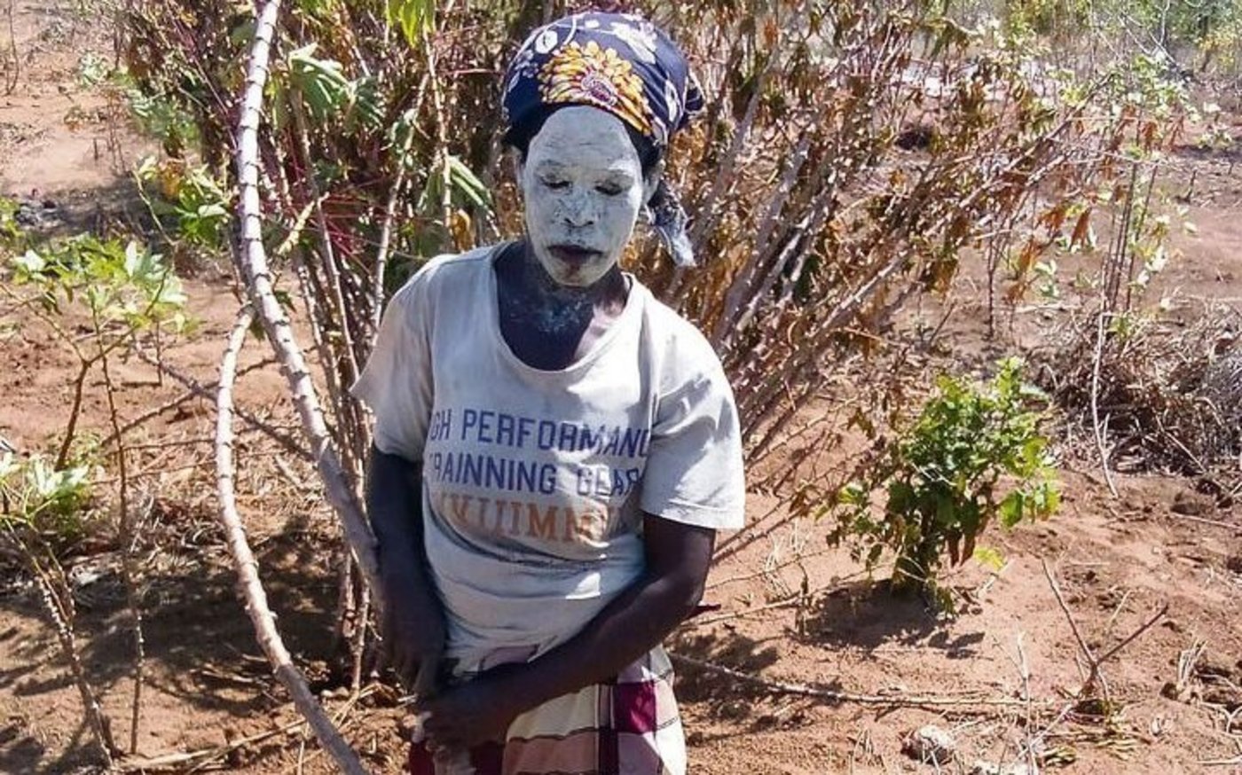 Eine Frau erntet Maniok auf der Insel Ibo. Die Maniokwurzel ist reich an Stärke, die im verarbeiteten Zustand Tapioka genannt wird. Maniok wird in unterschiedlichen Formen gegessen.