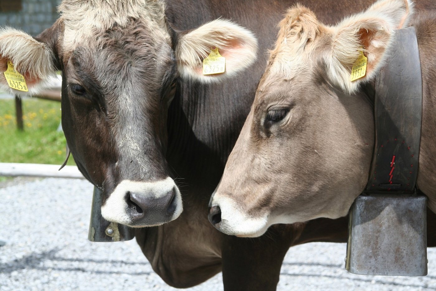 (Symbolbild Pixabay)