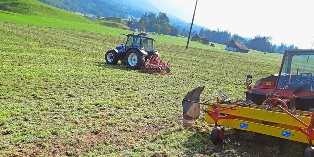 Besteht ein Filz im lückigen Grasbestand, sollte dieser vor der Übersaat ausgestriegelt und das Material allenfalls abgeführt werden.